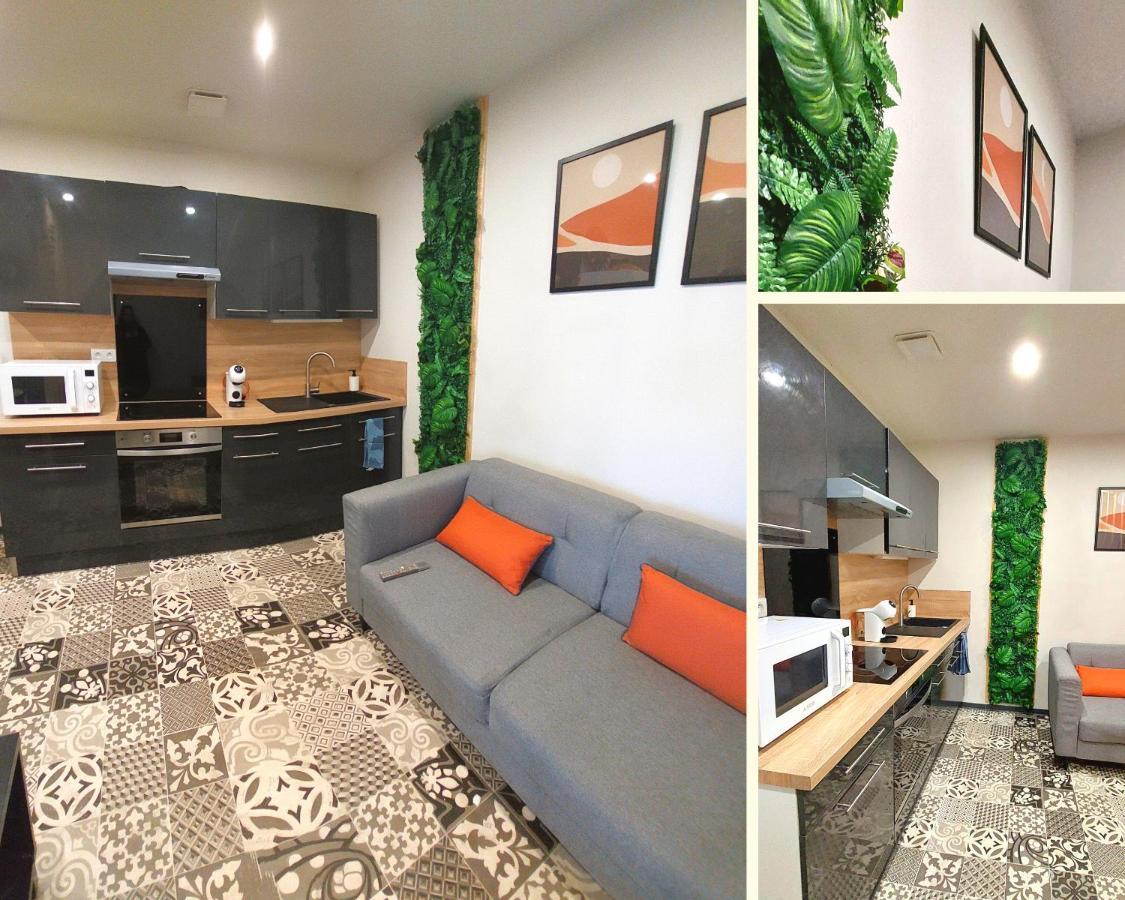Artgrey * Ideal Pro * Roanne Secteur Gare Et Rue Pietonnes Экстерьер фото