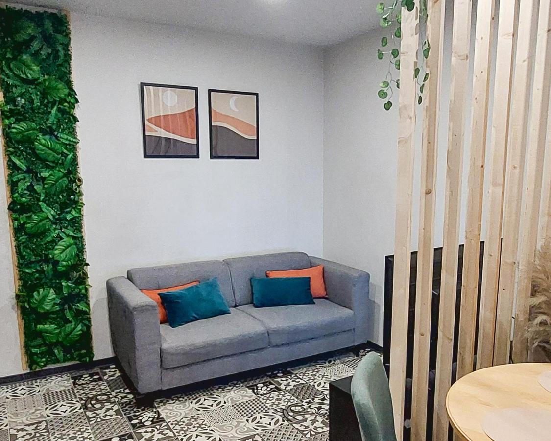 Artgrey * Ideal Pro * Roanne Secteur Gare Et Rue Pietonnes Экстерьер фото